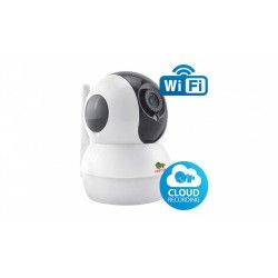 IP камера Partizan Cloud Robot IPH-1SP-IR 1.0