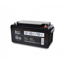 Батарея аккумуляторная Full Energy FEP-1265 12V 65Ah  - 1