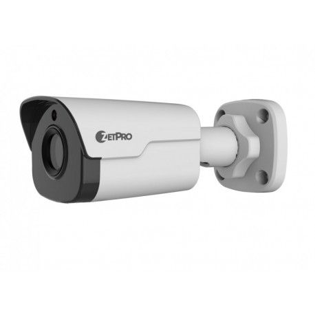 IP камера ZetPro ZIP-2124SR3-DPF36  - 1