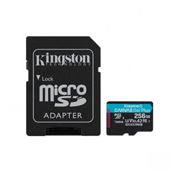 Карта памяти microSDXC Kingston 256GB UHS-1 U3 Class 10 A2 V30 SDCG3/256GB + adapter SD