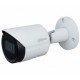 IP камера Dahua DH-IPC-HFW2831SP-S-S2 (2.8)