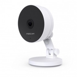 IP камера Foscam C2M